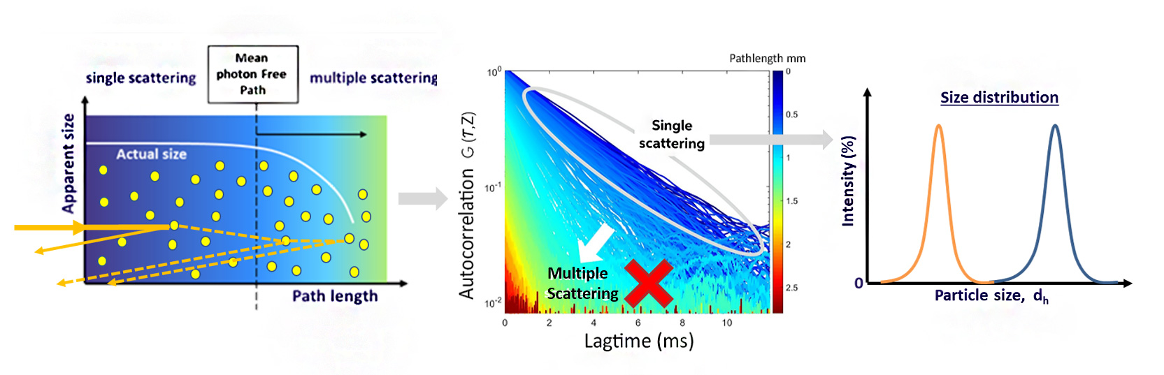 dynamic light scattering particle size